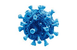 Image of the COVID virus