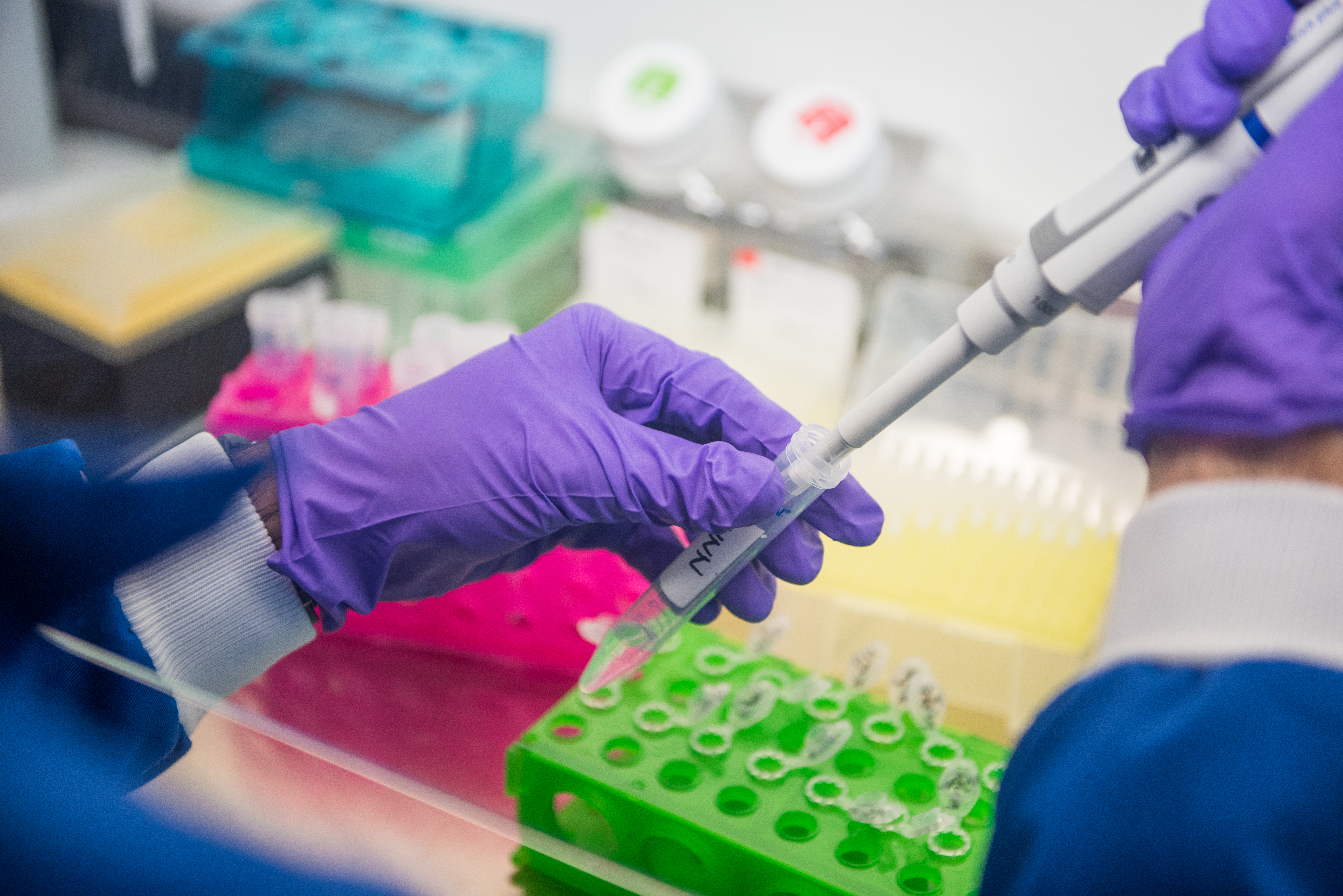 close-up image of a lab work