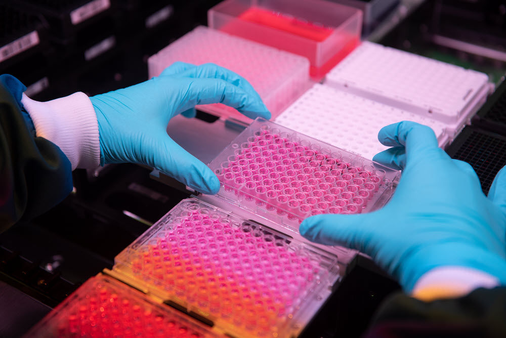 Novo Nordisk lab employee testing samples