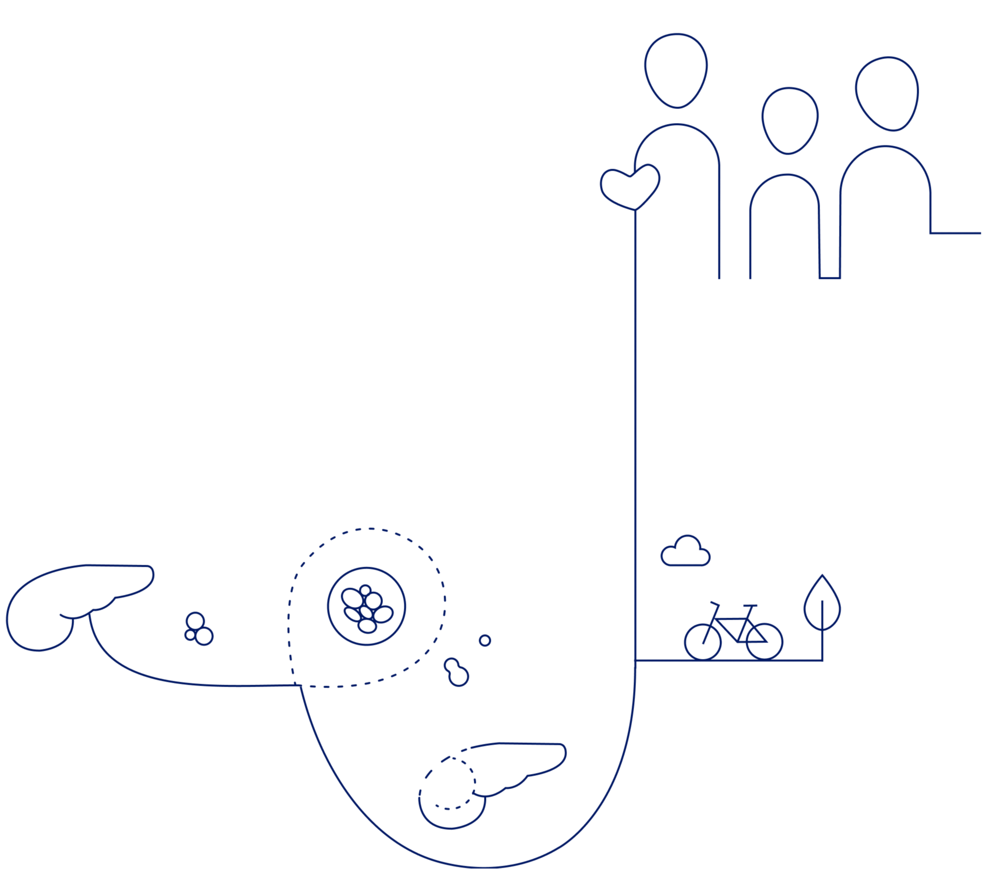 Type 1 Diabetes illustration